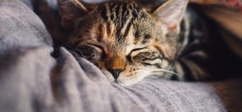 sommeil insomnie dormir | sophrologue Vincennes Pierre Cochat