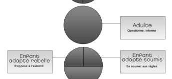 3 etats du moi fonctionnel - analyse transactionnelle | Performance et coaching