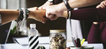 Profils MBTI pour le travail en équipe | Performance et coaching